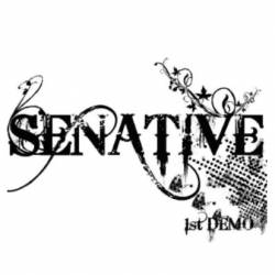 Senative : 1st Demo